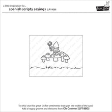 Load image into Gallery viewer, FALSE