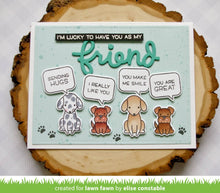 Load image into Gallery viewer, reveal wheel friends & family sentiments