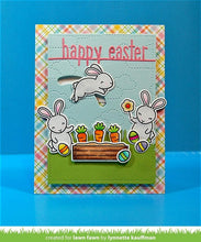 Load image into Gallery viewer, some bunny
