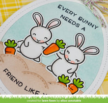 Load image into Gallery viewer, some bunny